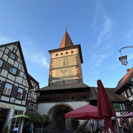 Coucou - Nest Im Schwarzwald Apartment Gengenbach Bagian luar foto