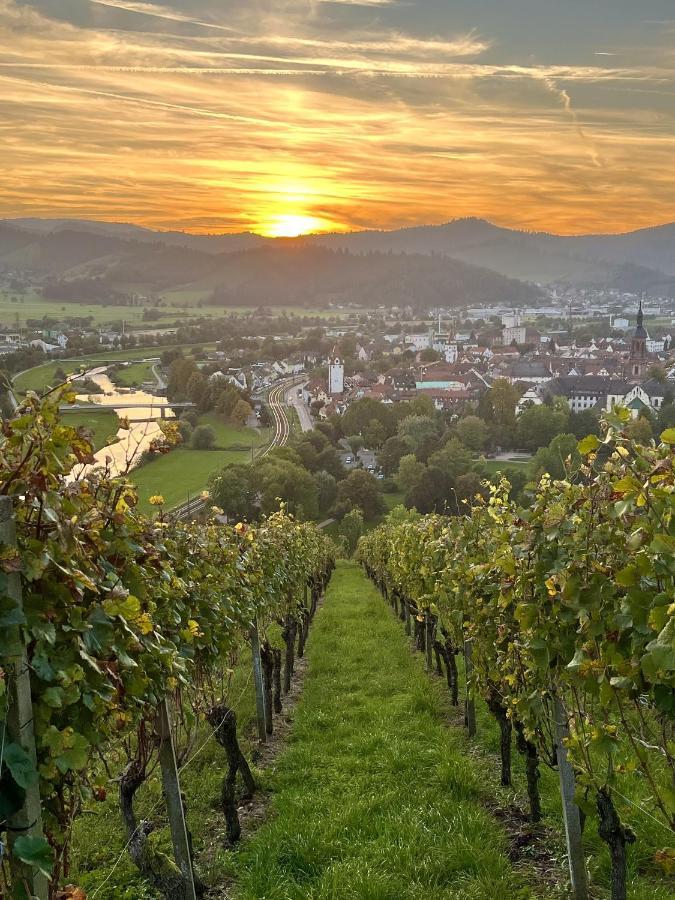 Coucou - Nest Im Schwarzwald Apartment Gengenbach Bagian luar foto